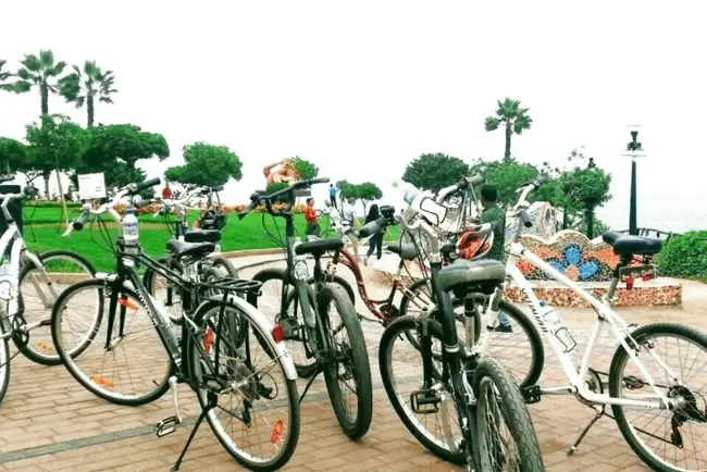 bicycle bays